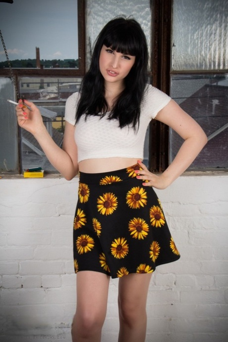 TS Bailey Jay Finestra dei girasoli