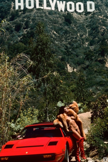 Playboy models expose their incredible bodies during photoshot in Hollywood