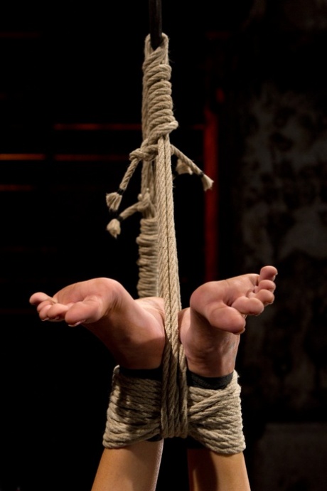 Hogtied performed by Rene Phoenix Hot Gallery