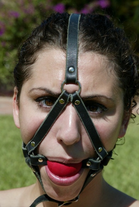 Hogtied Dee Williams, Jenni Lee, Jenya, Princess Donna Dolore, Sgt Major
