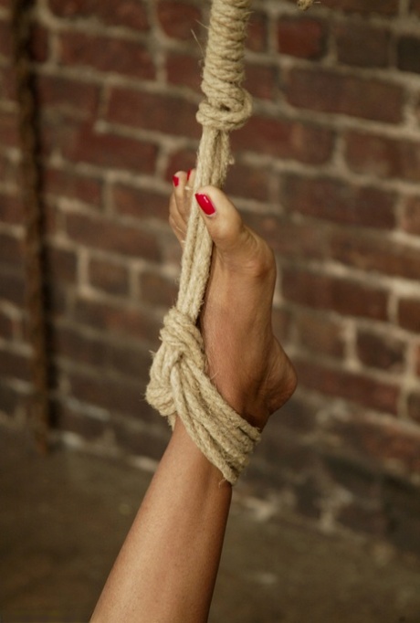 Hogtied Harry the Goblin, Sinnamon Love